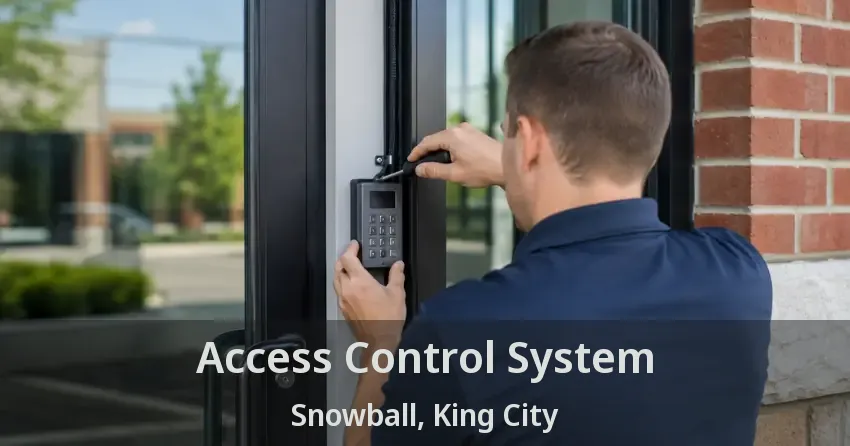 Access Control System Snowball, King City - ON