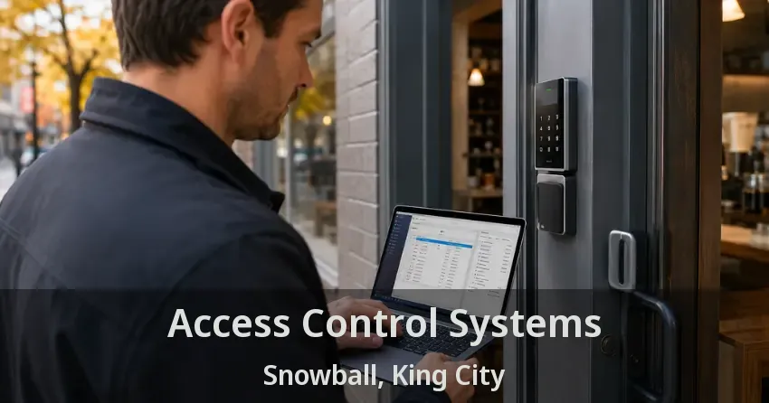 Access Control Systems Snowball, King City - ON