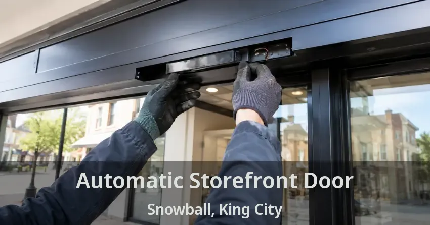Automatic Storefront Door Snowball, King City - ON