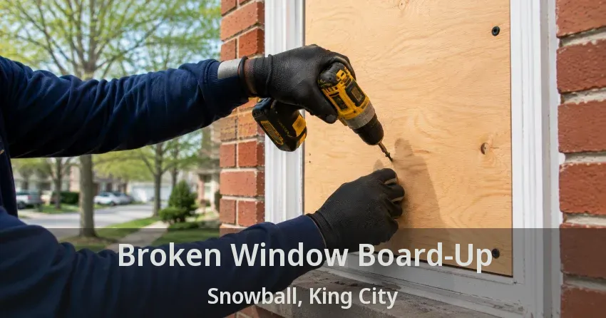 Broken Window Board-Up Snowball, King City - ON