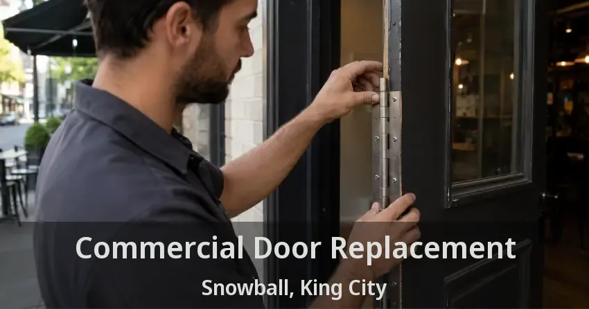 Commercial Door Replacement Snowball, King City - ON