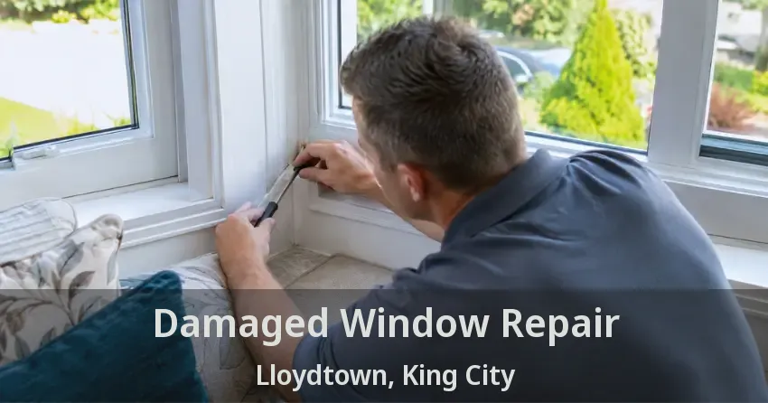 Damaged Window Repair Lloydtown, King City - ON
