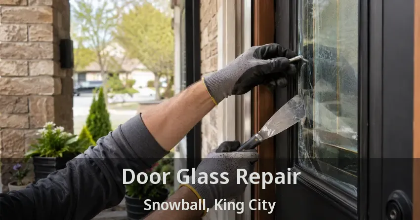 Door Glass Repair Snowball, King City - ON