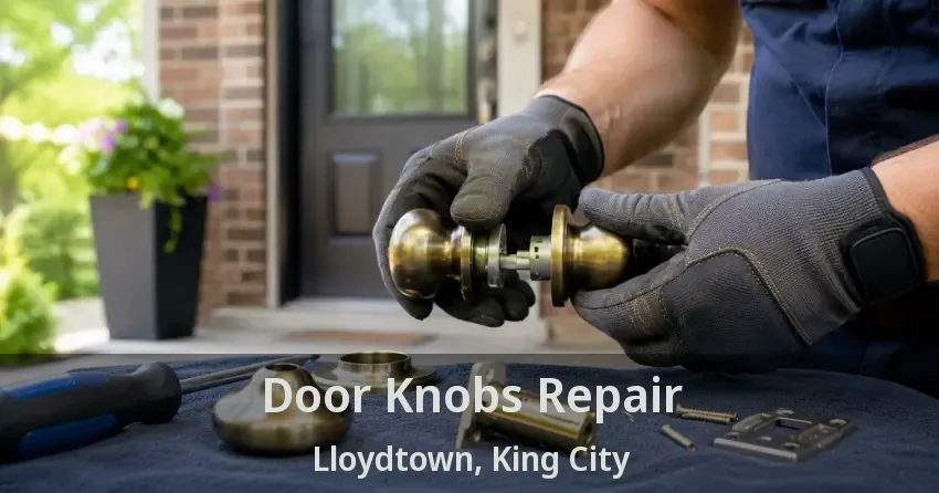 Door Knobs Repair Lloydtown, King City - ON