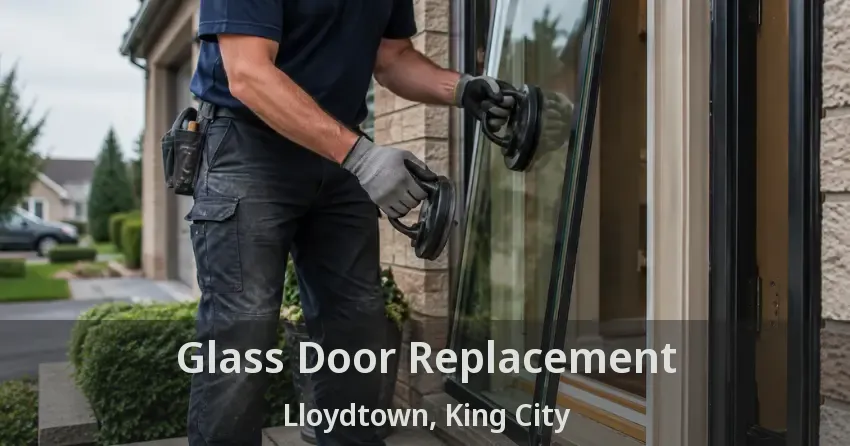 Glass Door Replacement Lloydtown, King City - ON