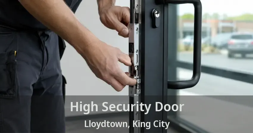 High Security Door Lloydtown, King City - ON