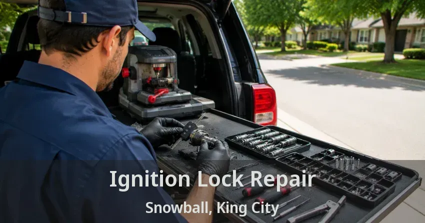 Ignition Lock Repair Snowball, King City - ON