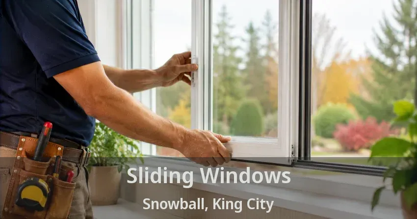 Sliding Windows Snowball, King City - ON