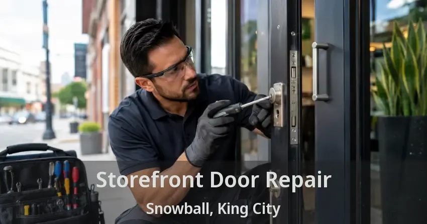 Storefront Door Repair Snowball, King City - ON