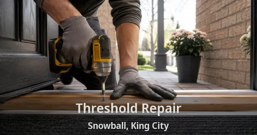 Threshold Repair Snowball, King City - ON