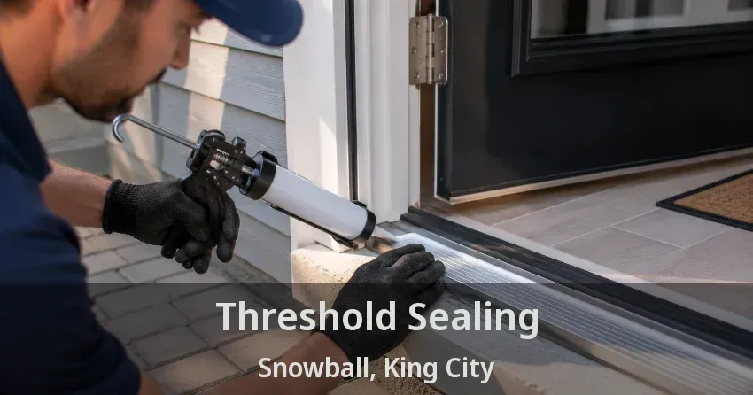 Threshold Sealing Snowball, King City - ON