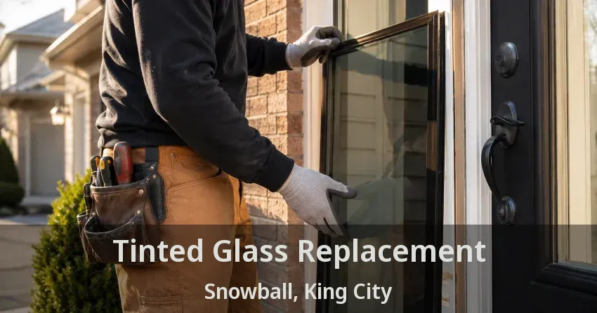 Tinted Glass Replacement Snowball, King City - ON