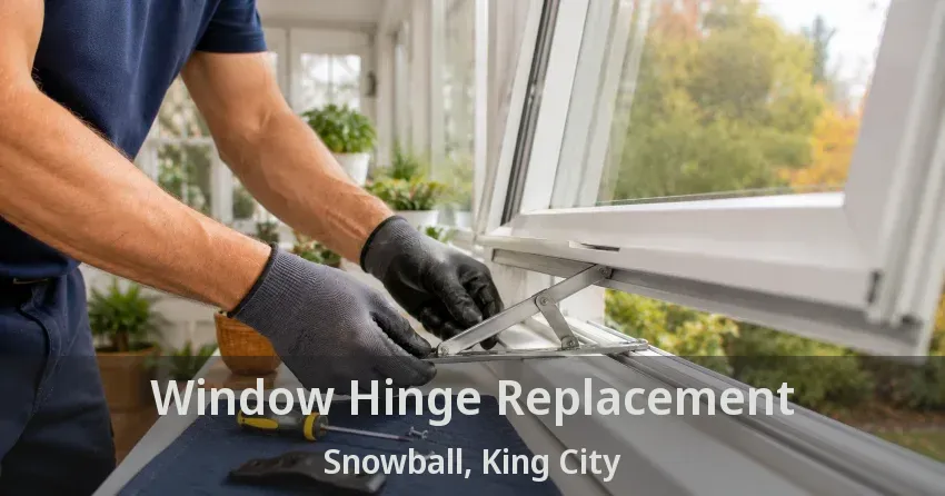 Window Hinge Replacement Snowball, King City - ON